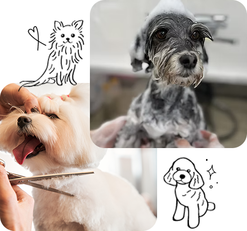 Dog salon Egaoについて
