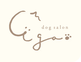 加古川で愛犬に合ったフードとサプリを｜トリミングサロン「Dog salon Egao」